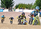 921H7962 bmx-tc-11-9-21